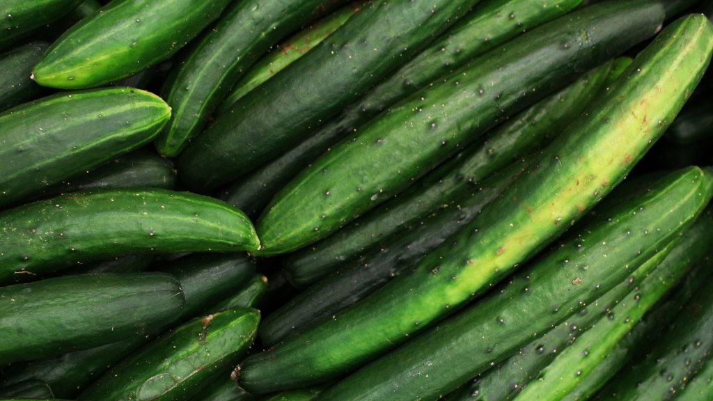 cucumber salmonella recall lawyer florida